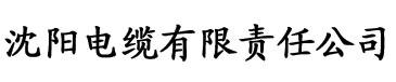 午夜视频香蕉电缆厂logo